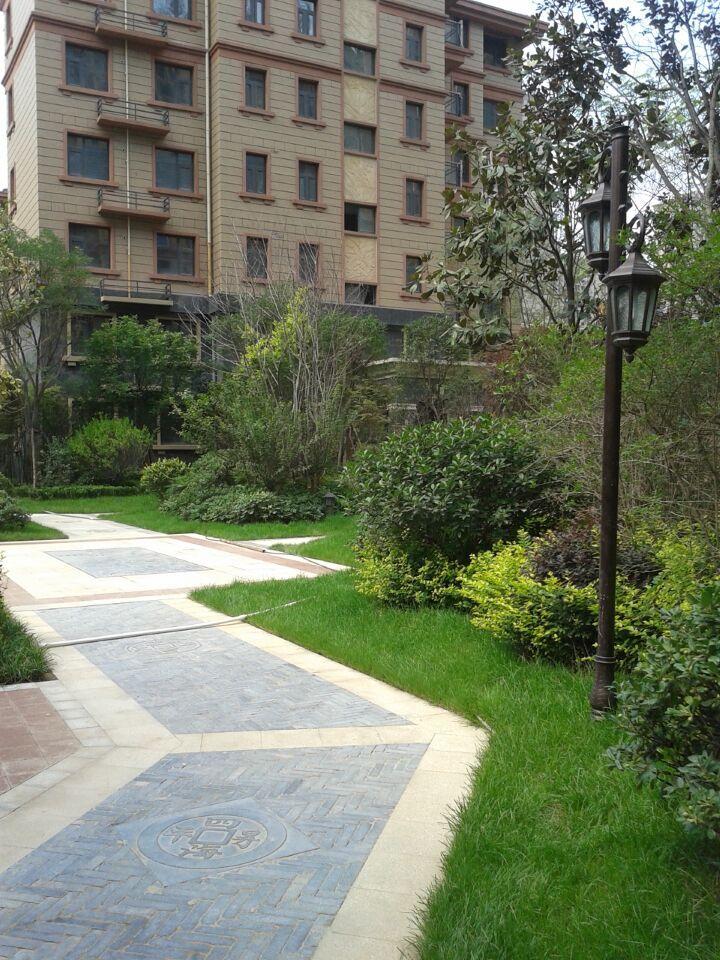 郑州新合鑫绿化园林景观设计 郑州新合鑫绿化园林景观设计